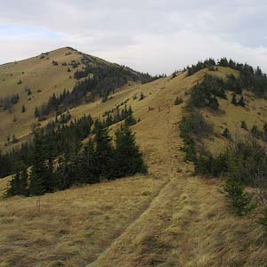 Peaks of the Lviv Region: Parashka Mountain
