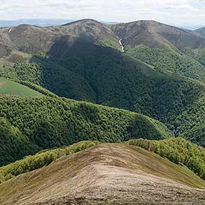 Дикі Карпати: полонина Красна