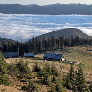 Wild Carpathians: to Kukul Meadows