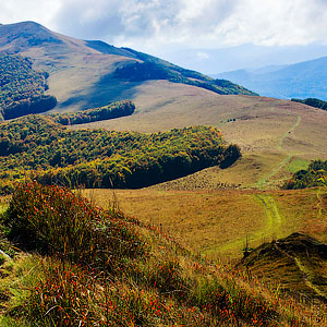 Pikuy - Borzhava