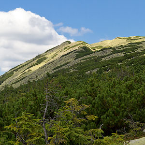 Wild Carpathians: discovering Gorgany